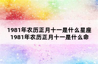 1981年农历正月十一是什么星座 1981年农历正月十一是什么命